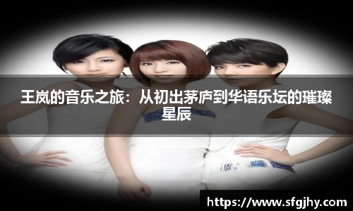 王岚的音乐之旅：从初出茅庐到华语乐坛的璀璨星辰