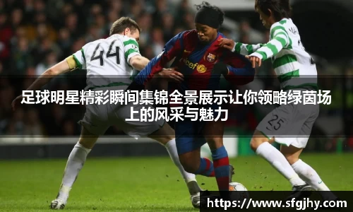 足球明星精彩瞬间集锦全景展示让你领略绿茵场上的风采与魅力
