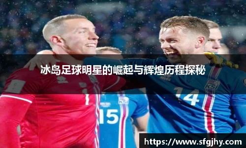 冰岛足球明星的崛起与辉煌历程探秘