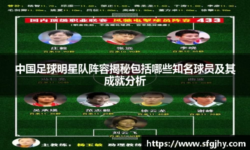 中国足球明星队阵容揭秘包括哪些知名球员及其成就分析